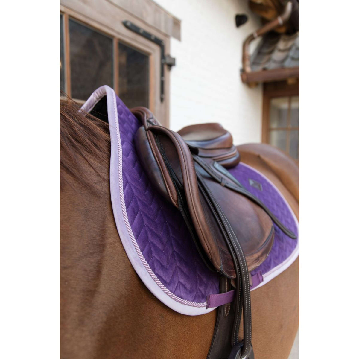 Kentucky Saddlepad Jumping Classic Contrast Royal Purple