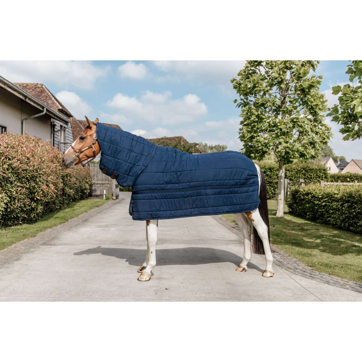 Kentucky Under Rug Skin Friendly Neck 150g Navy