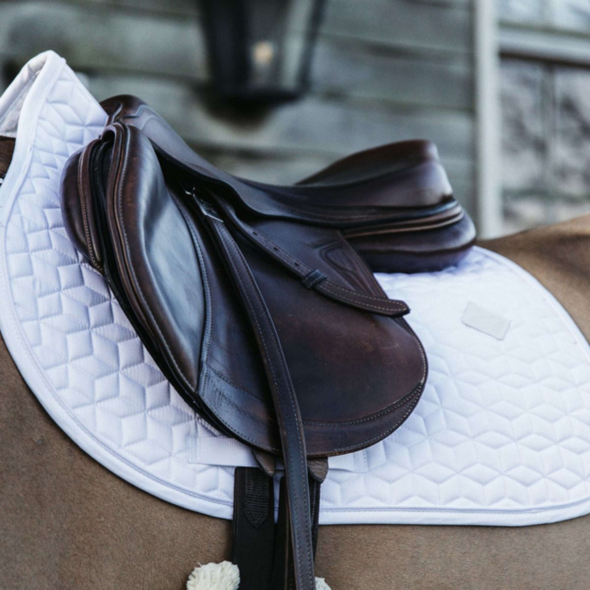 Kentucky Saddlepad Classic Jumping White