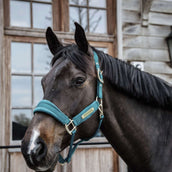 Kentucky Halter Velvet Emerald