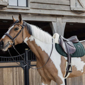 Kentucky Saddlepad Skin Friendly Velvet Jumping Pine Green