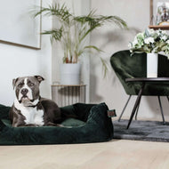 Kentucky Dog Bed Velvet Pine Green