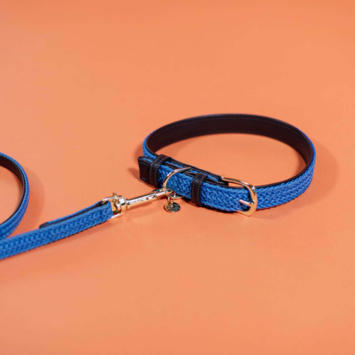 Kentucky Collar Plaited Nylon Lightblue