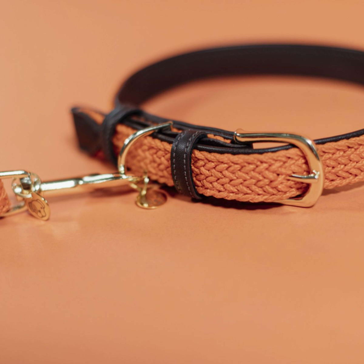 Kentucky Collar Plaited Nylon Orange