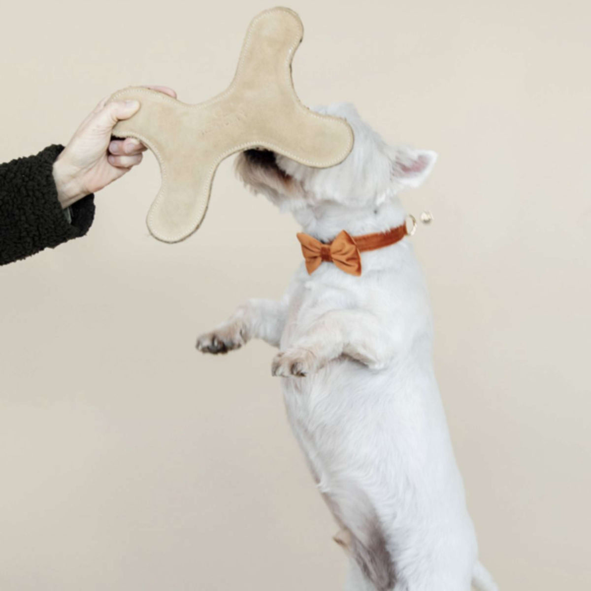 Kentucky Dog Toy Bone Pastel Beige