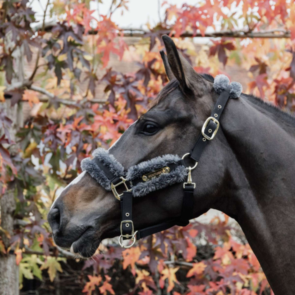 Kentucky Halter Nylon Sheepskin Grey