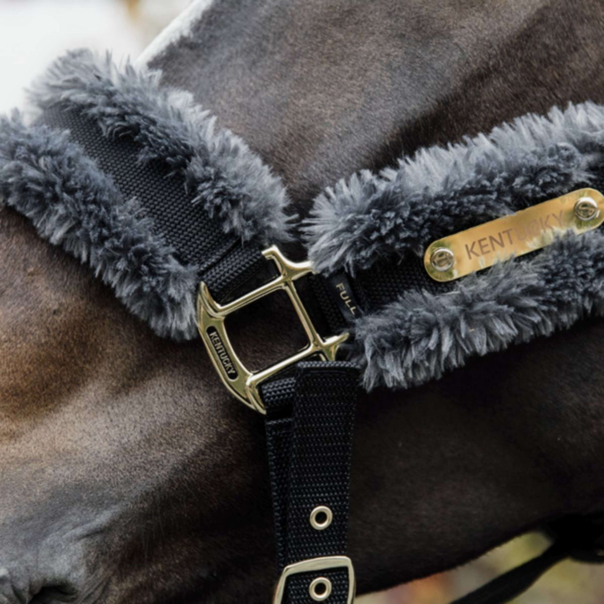 Kentucky Halter Nylon Sheepskin Grey