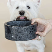 Kentucky Dog Food Bowl Terrazzo Stone Black