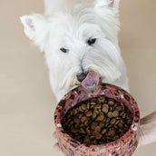 Kentucky Dog Food Bowl Terrazzo Stone Brown