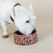 Kentucky Dog Food Bowl Terrazzo Stone Brown