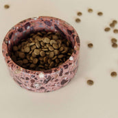 Kentucky Dog Food Bowl Terrazzo Stone Brown