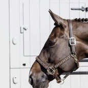 Kentucky Halter Pearls Gold