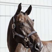 Kentucky Halter Pearls Silver