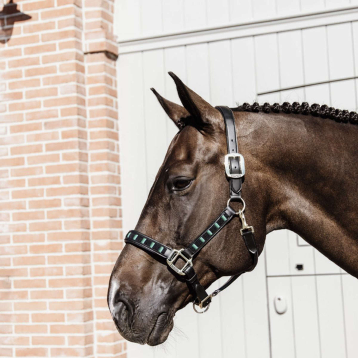 Kentucky Halter Pearls Black