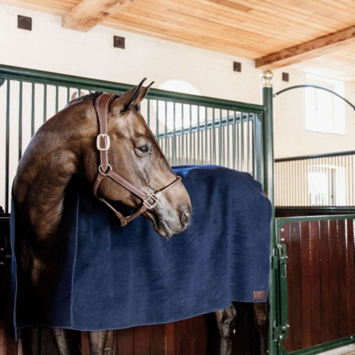 Kentucky Fleece Rug Heavy Square Navy