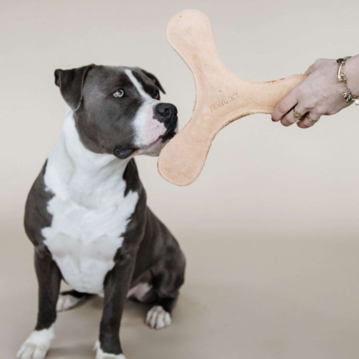 Kentucky Dog Toy Boomerang Pastel Peach