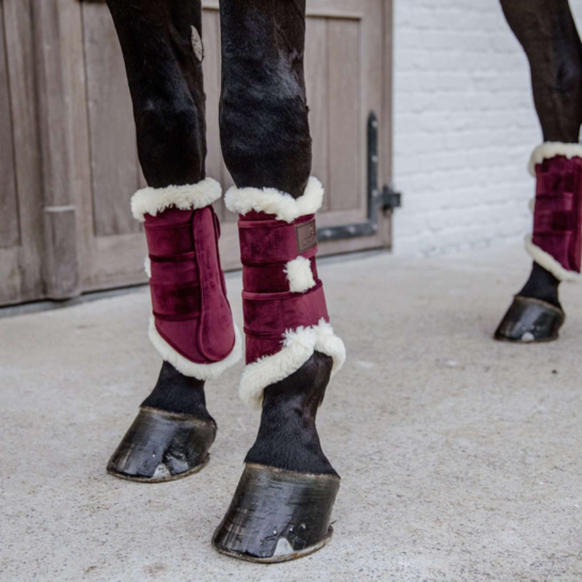 Kentucky Horsewear Leg protection Bordeaux