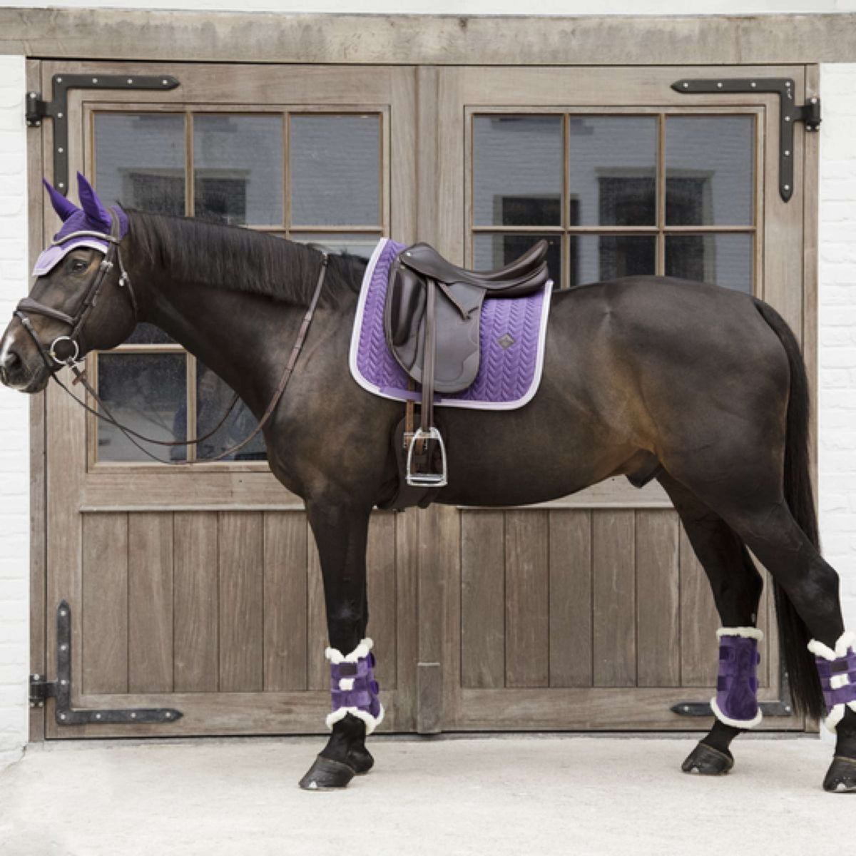 Kentucky Horsewear Leg protection Royal Purple