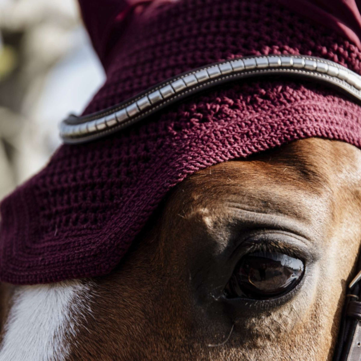 Kentucky Ear Cover Wellington Bordeaux