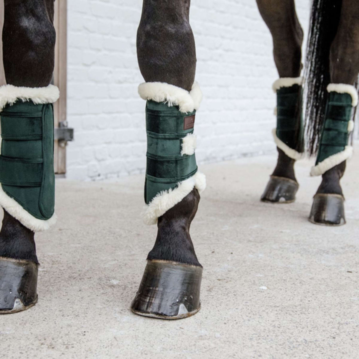 Kentucky Horsewear Leg protection Pine Green