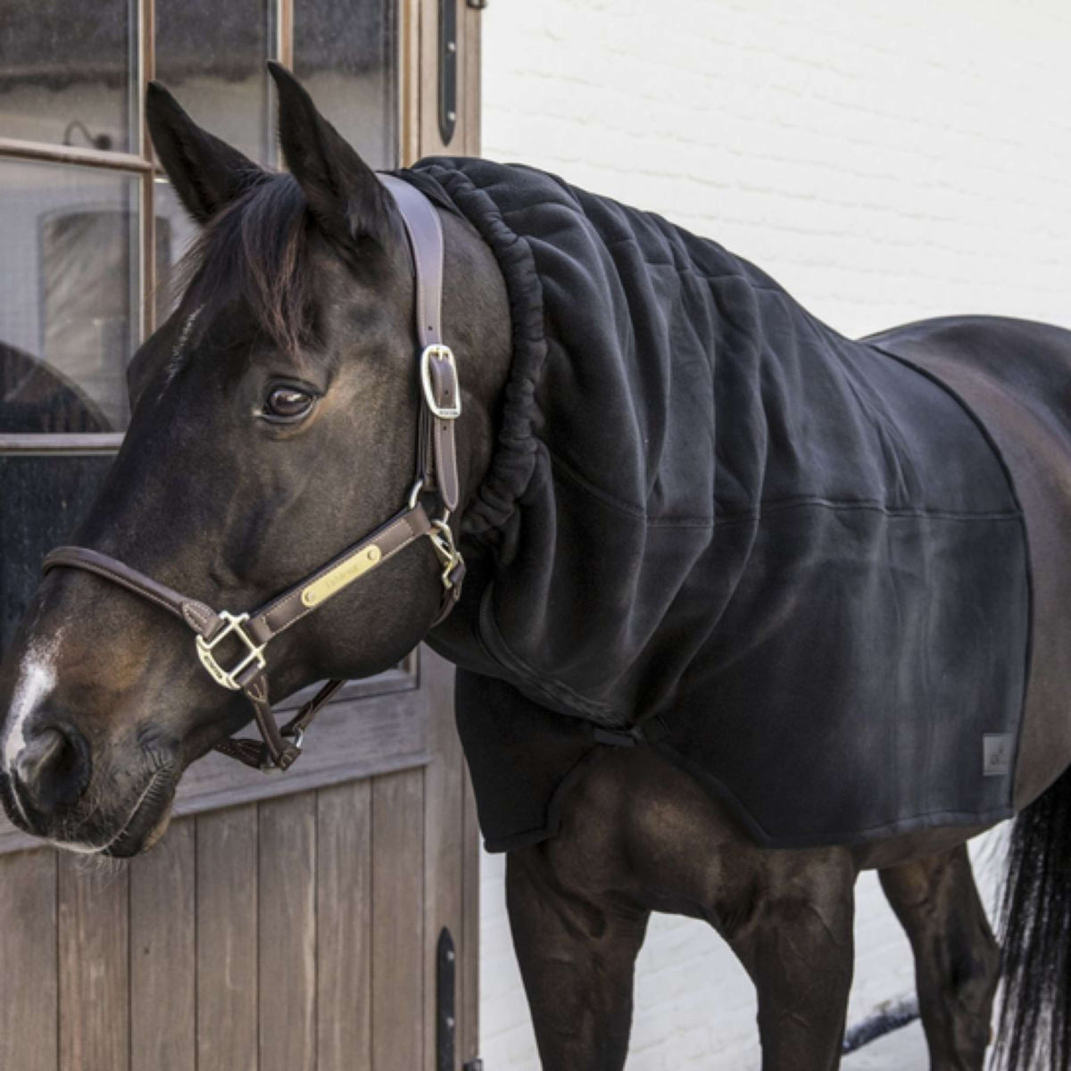 Kentucky Neck Heavy Fleece Black