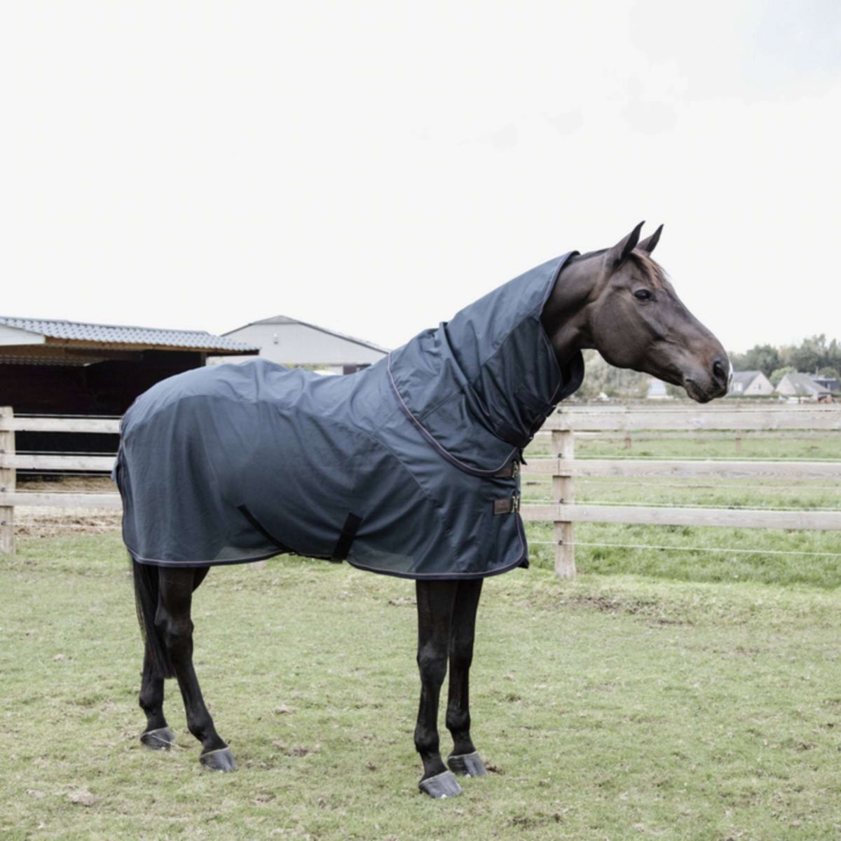 Kentucky Fly Rug Combo Classic 0g Navy