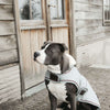 Kentucky Dog Coats Waterproof 160g Dusty Blue