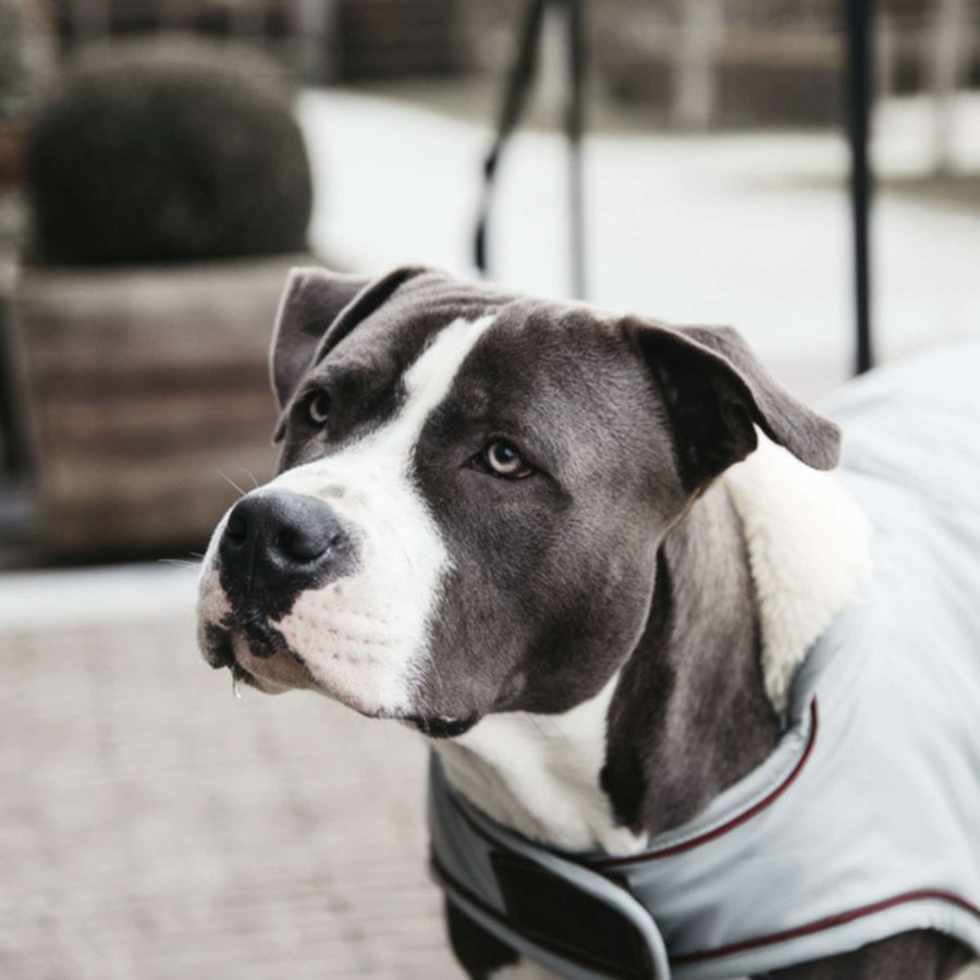 Kentucky Dog Coats Waterproof 160g Dusty Blue