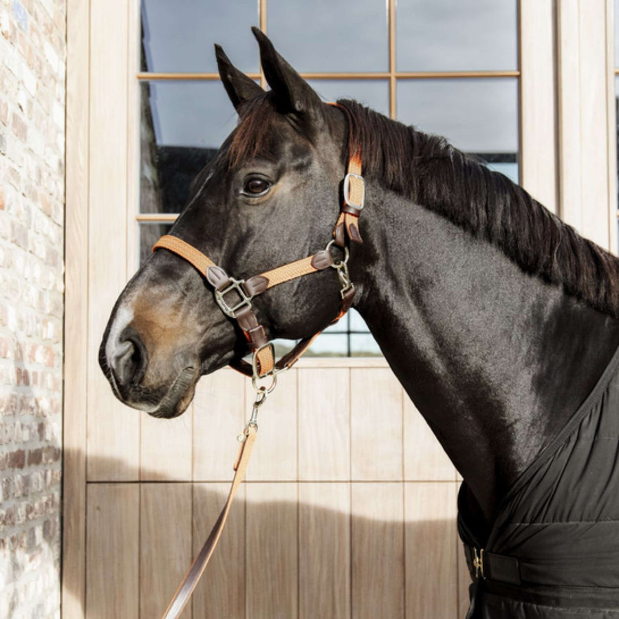 Kentucky Halter Plaited Nylon Orange