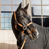 Kentucky Halter Plaited Nylon Orange