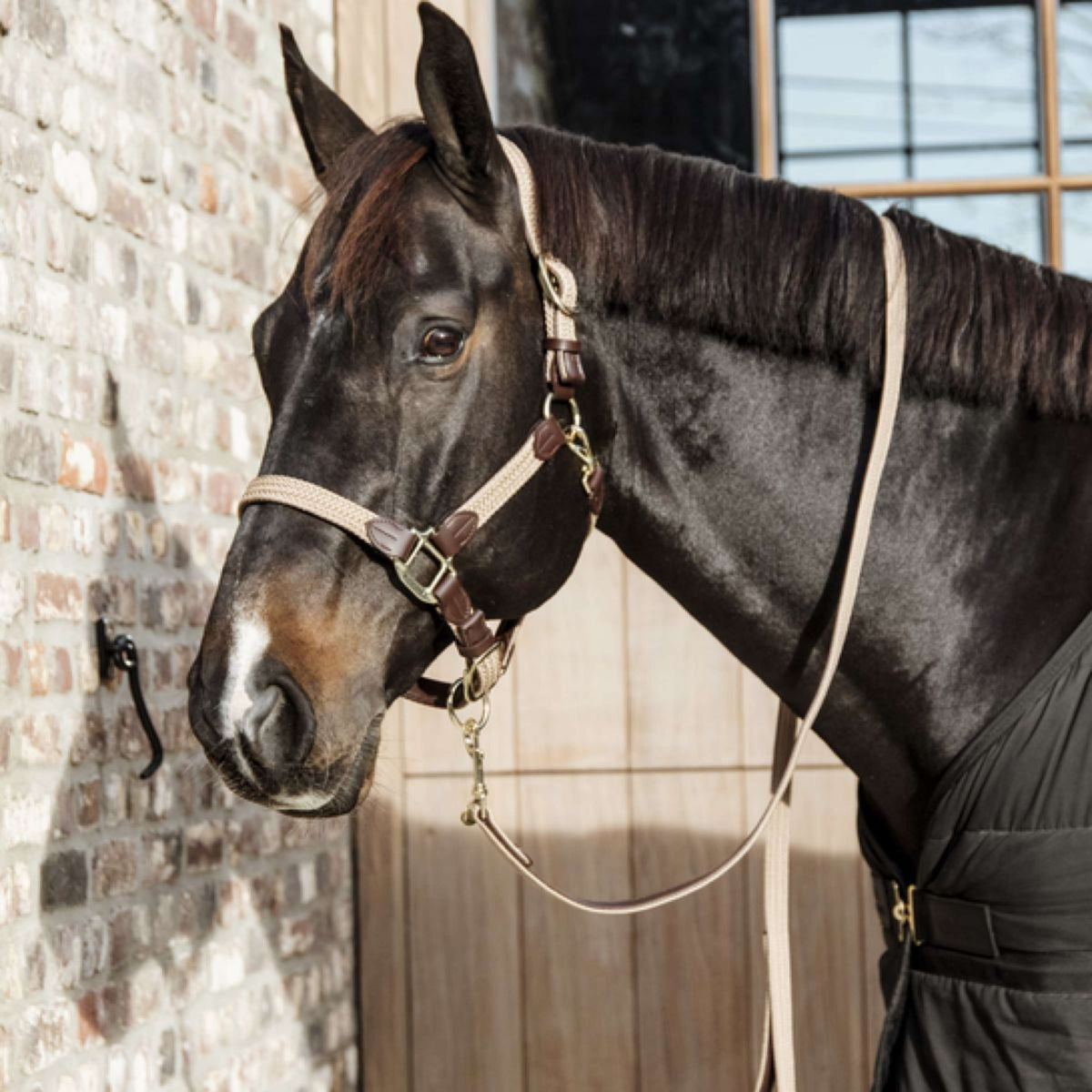 Kentucky Halter Plaited Nylon Beige