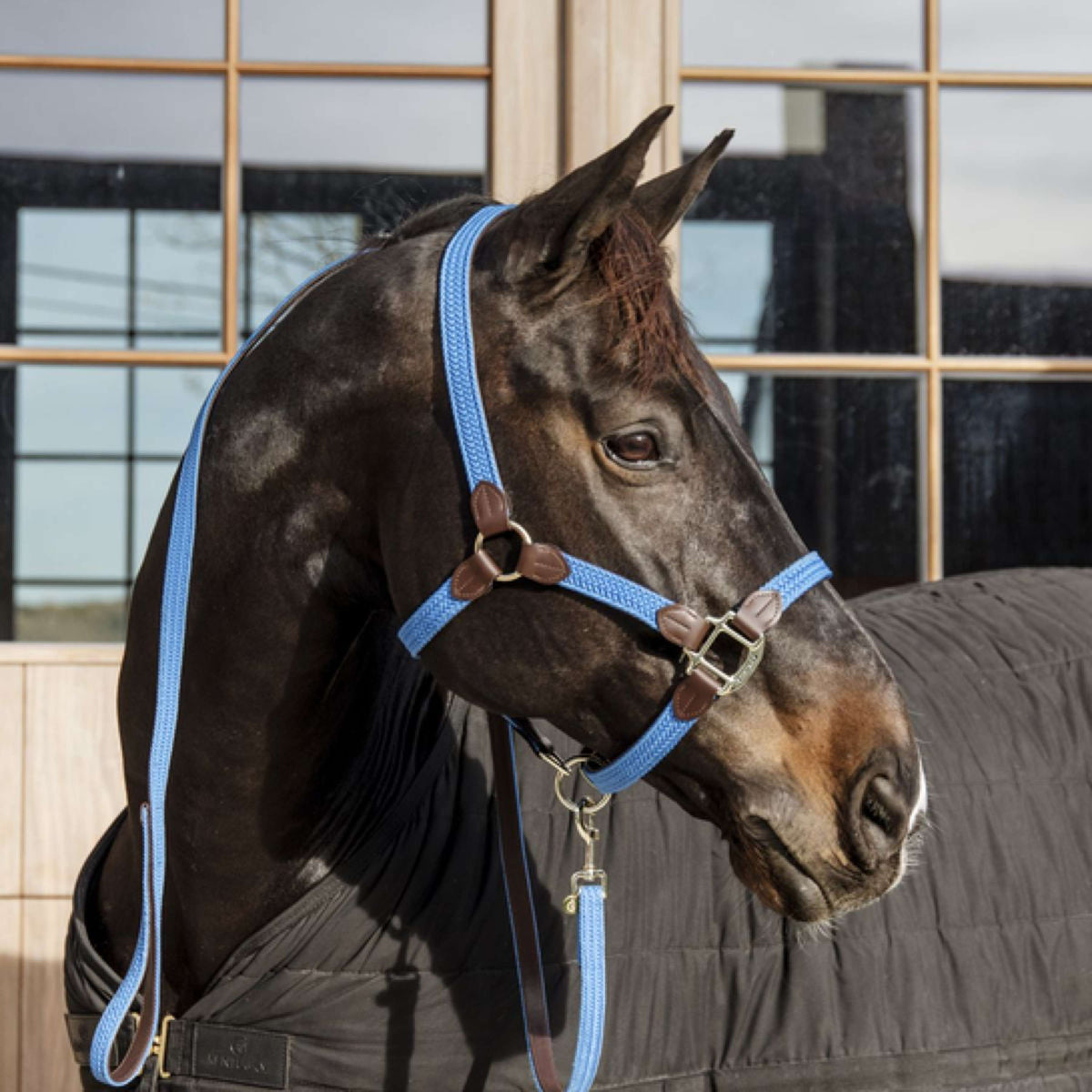 Kentucky Halter Plaited Nylon Lightblue