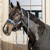 Kentucky Halter Plaited Nylon Lightblue