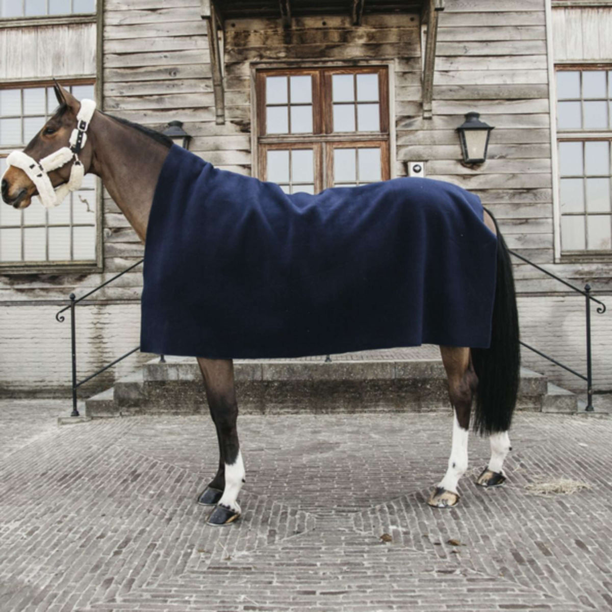 Kentucky Fleece Rug Heavy Square Navy