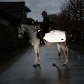 Kentucky Exercise Rug Reflective Reflective