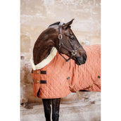 Kentucky Show Rug 160g Autumn Orange