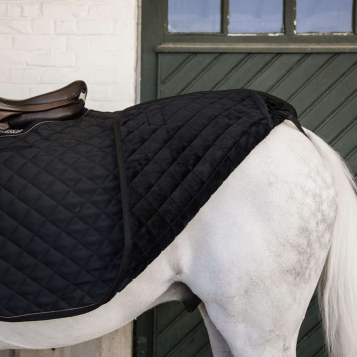 Kentucky Exercise Rug Square 160g Black