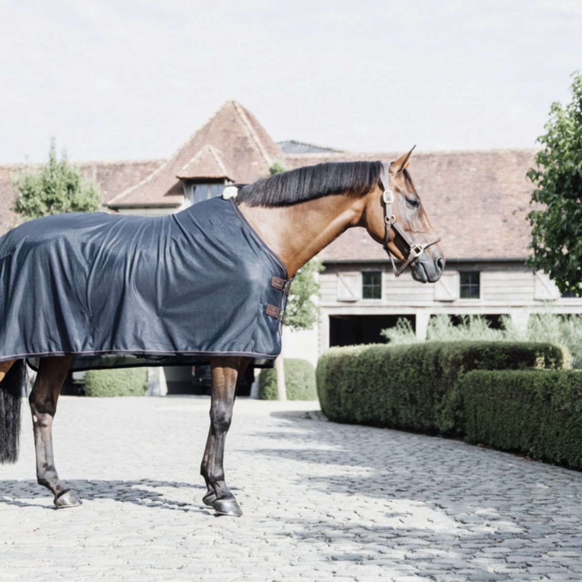 Kentucky Fly Rug Mesh Navy