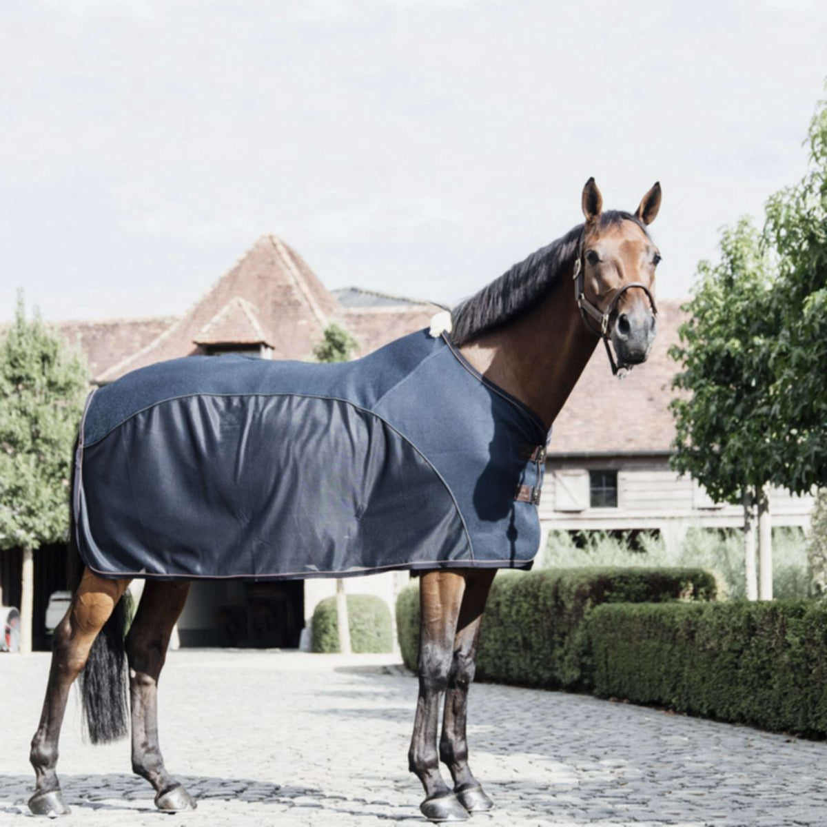 Kentucky Fly Rug Combination Sweat Rug Navy