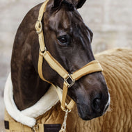 Kentucky Halter Velvet Mustard