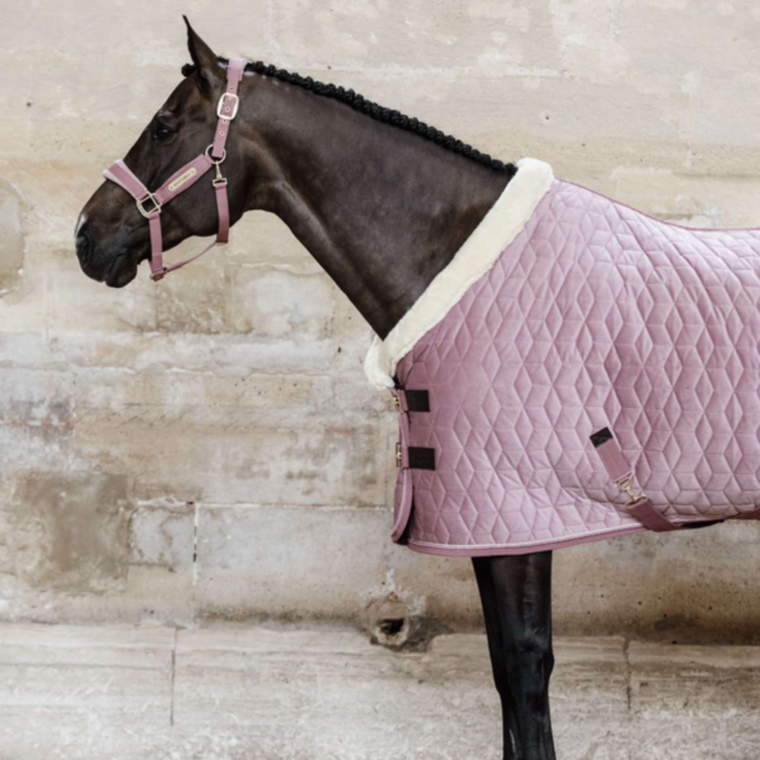 Kentucky Show Rug Velvet 160g Old Rose