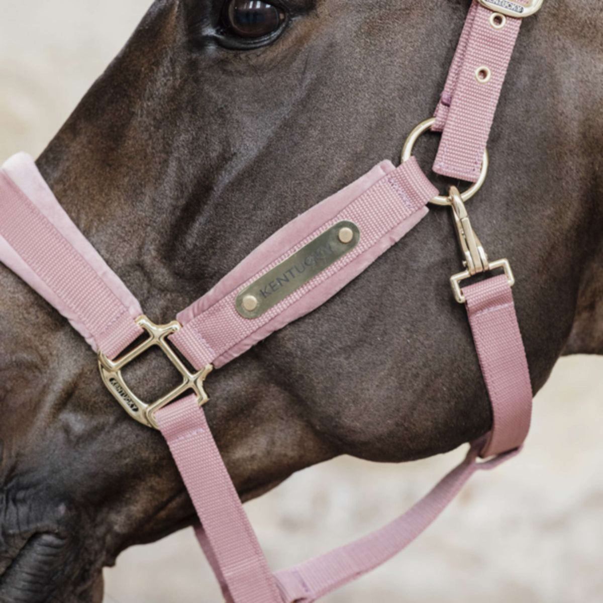 Kentucky Halter Velvet Old Rose