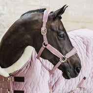 Kentucky Halter Velvet Old Rose