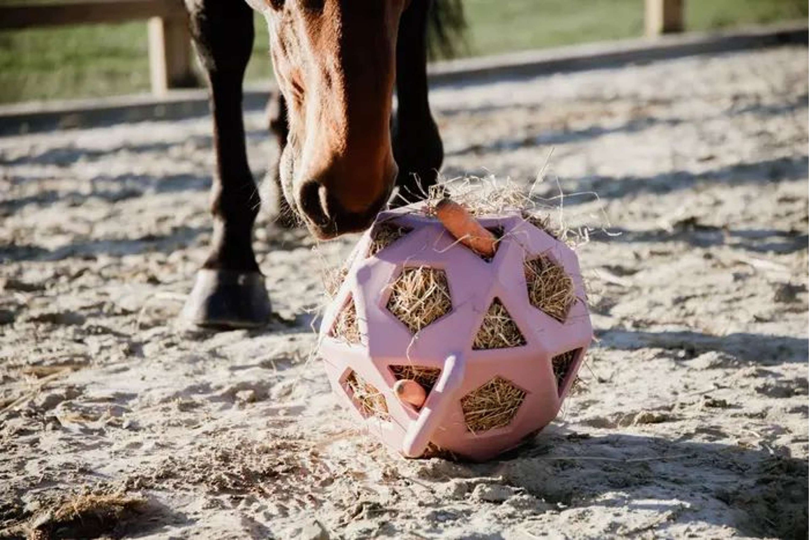 Kentucky playball Play & Hay Old Rose