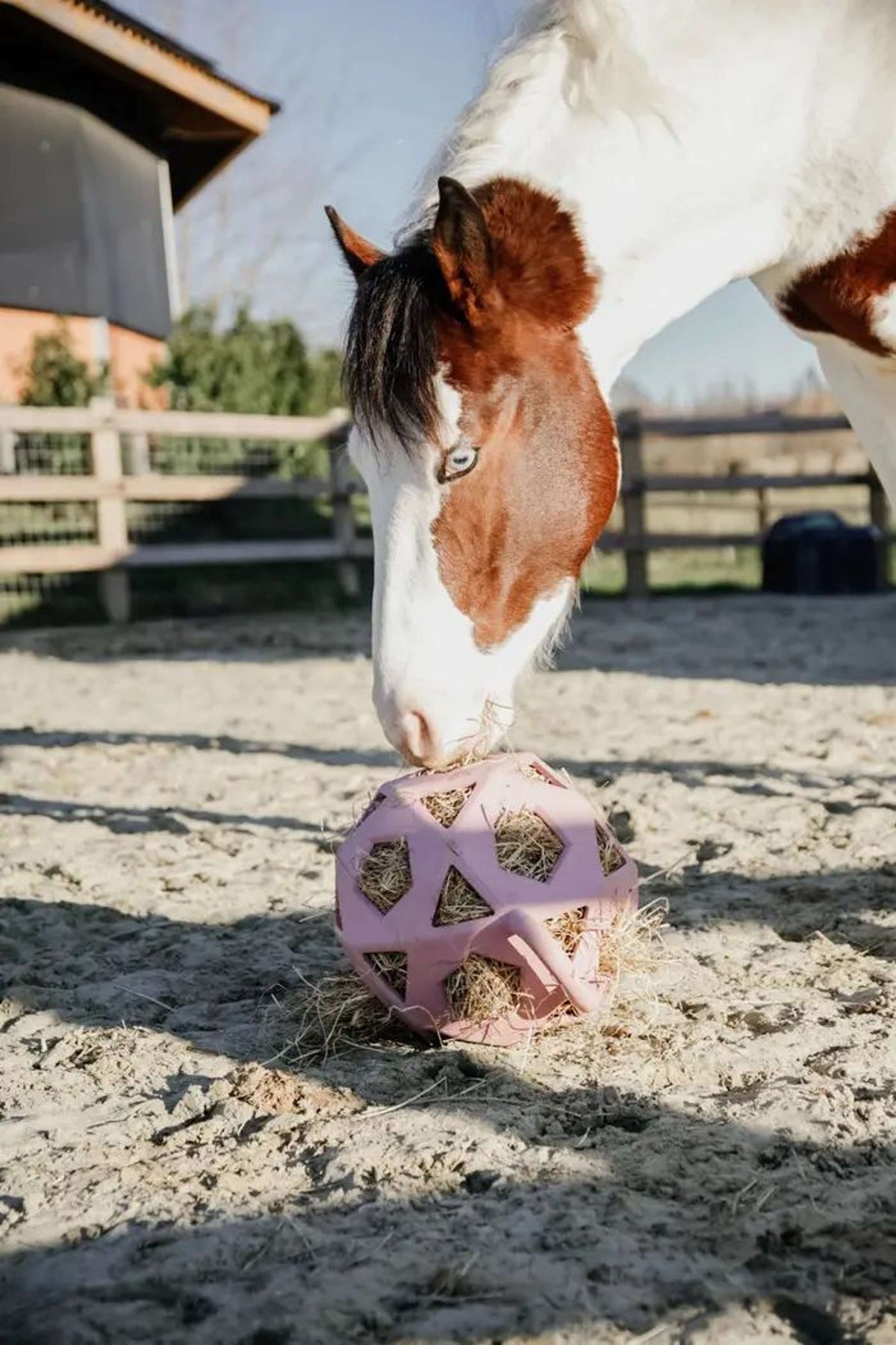 Kentucky playball Play & Hay Old Rose