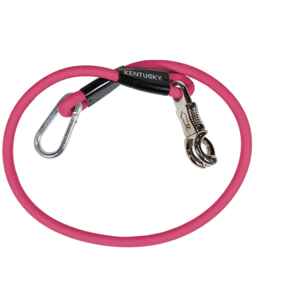 Kentucky Ribbon Tie Silicone Pink