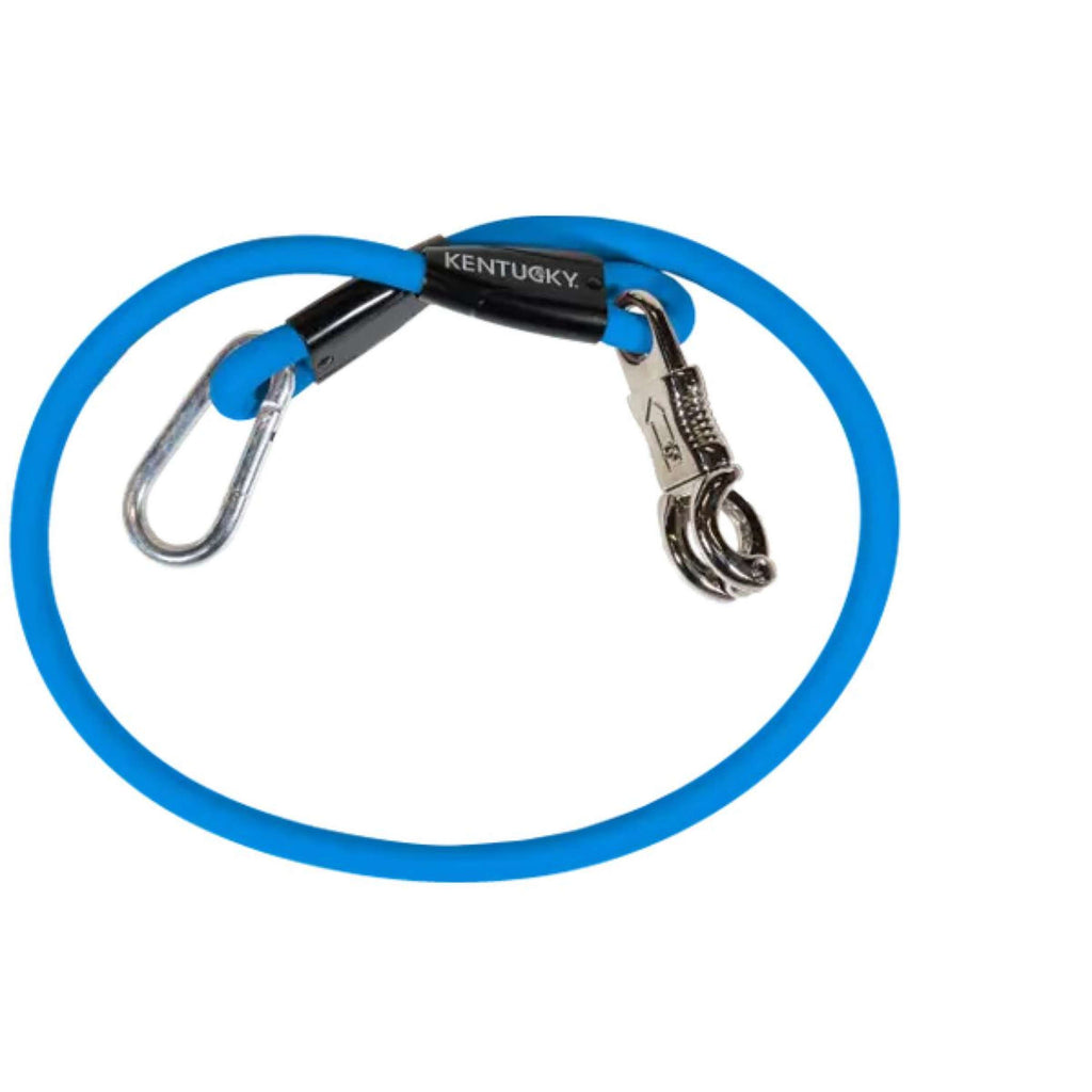 Kentucky Ribbon Tie Silicone Royal Blue