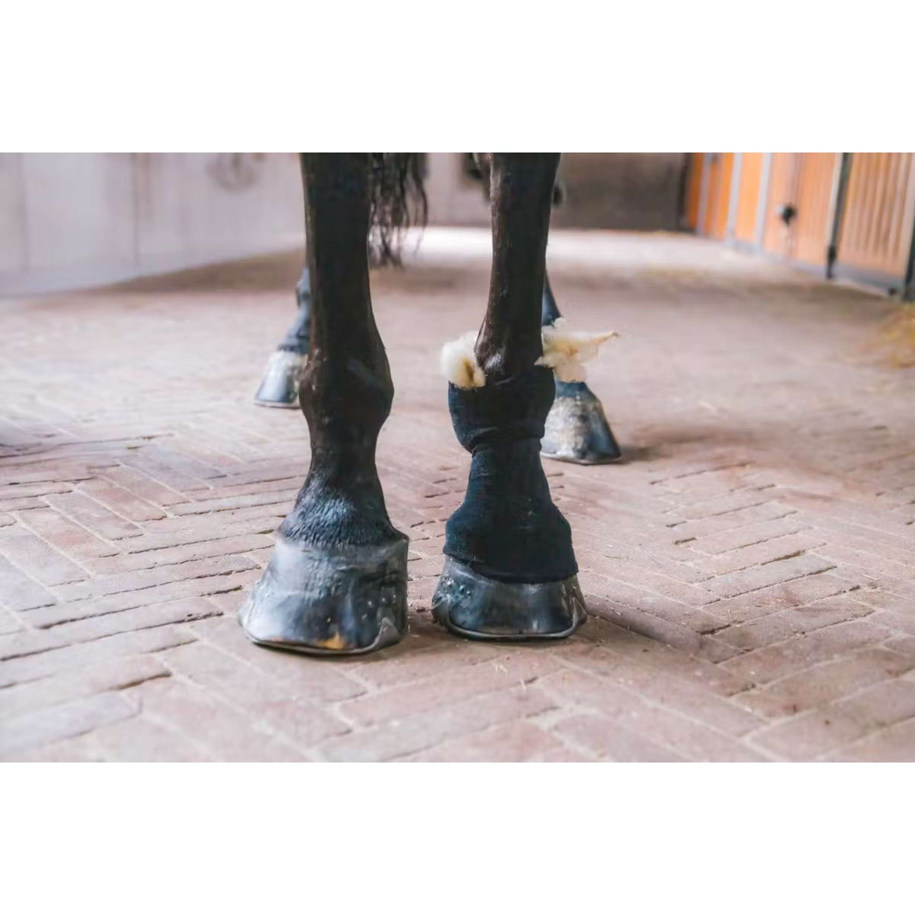 Kentucky Horsewear Therapeutic Wool White