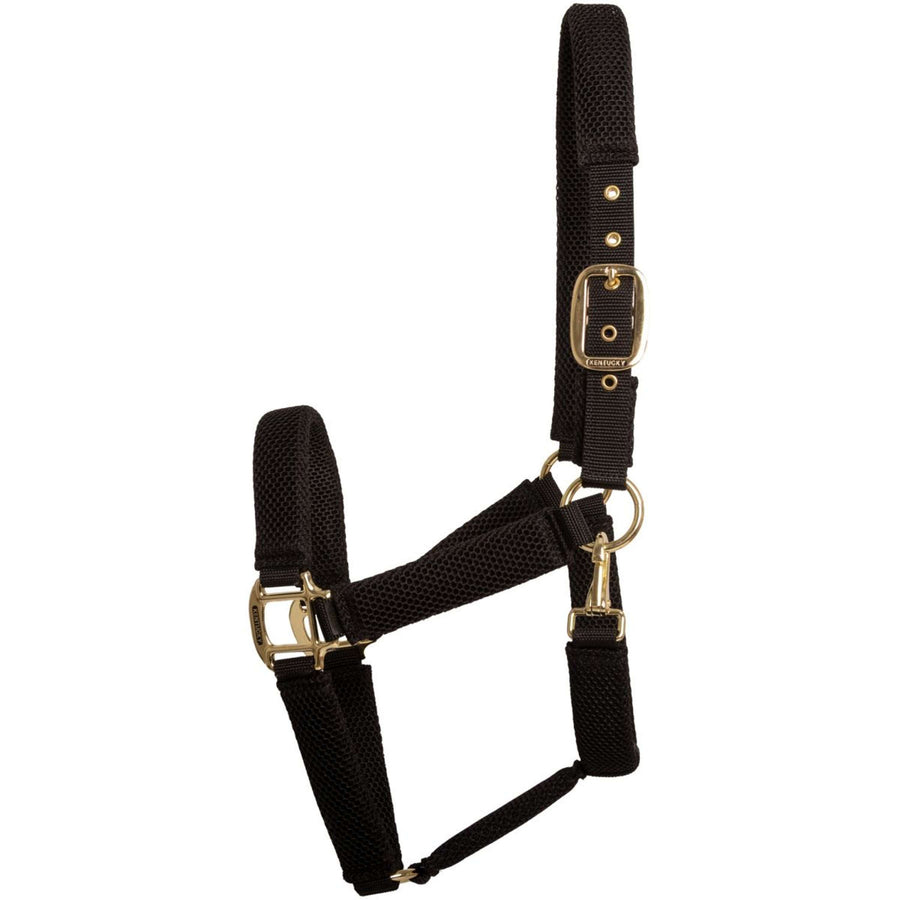 Kentucky Halter 3D Mesh Black