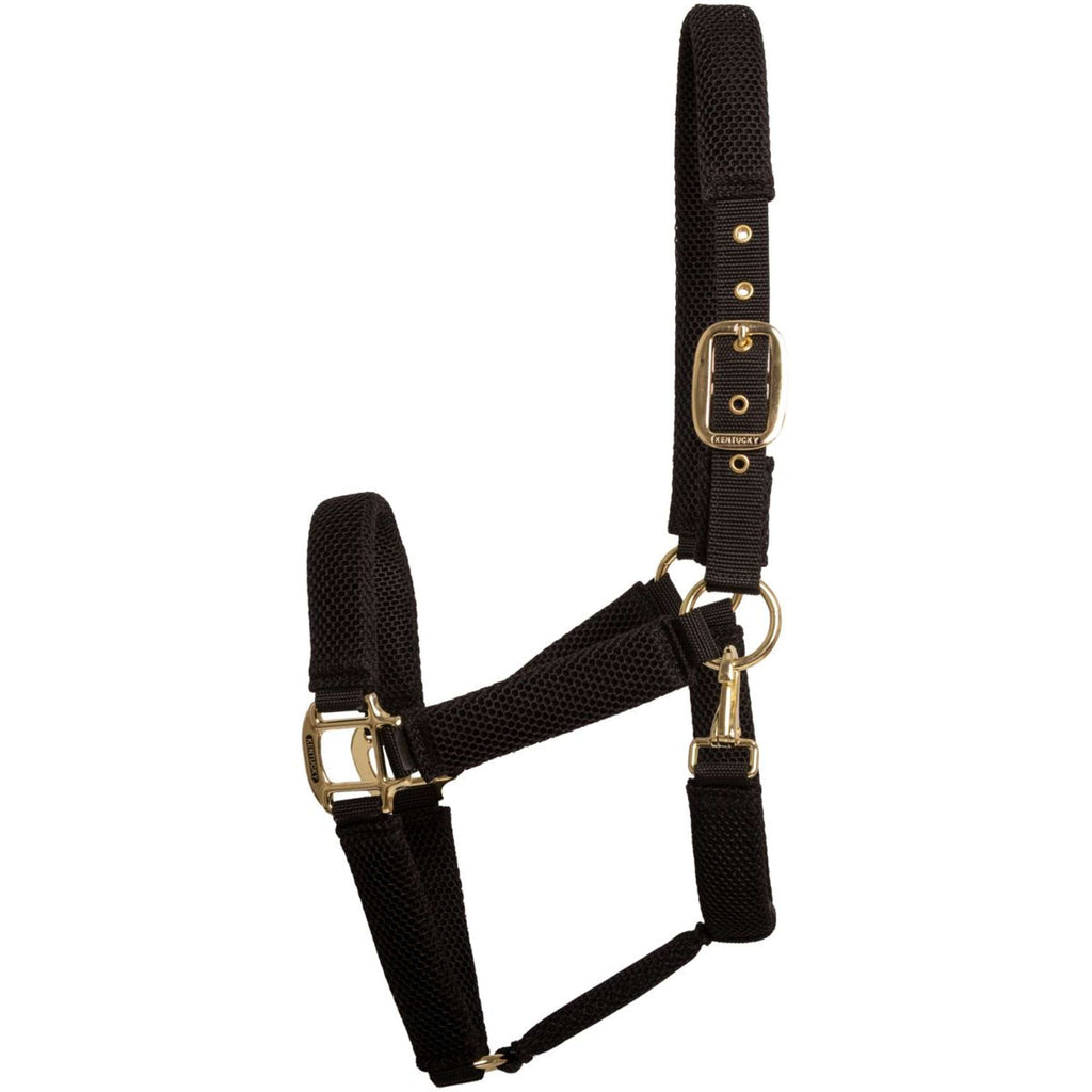 Kentucky Halter 3D Mesh Black